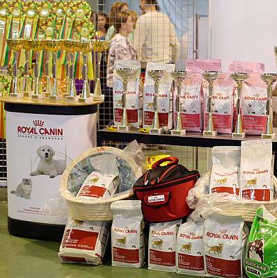 �������� ����� '���-�����-��������' 20-21 �������� 2014 169A2282 copy.jpg